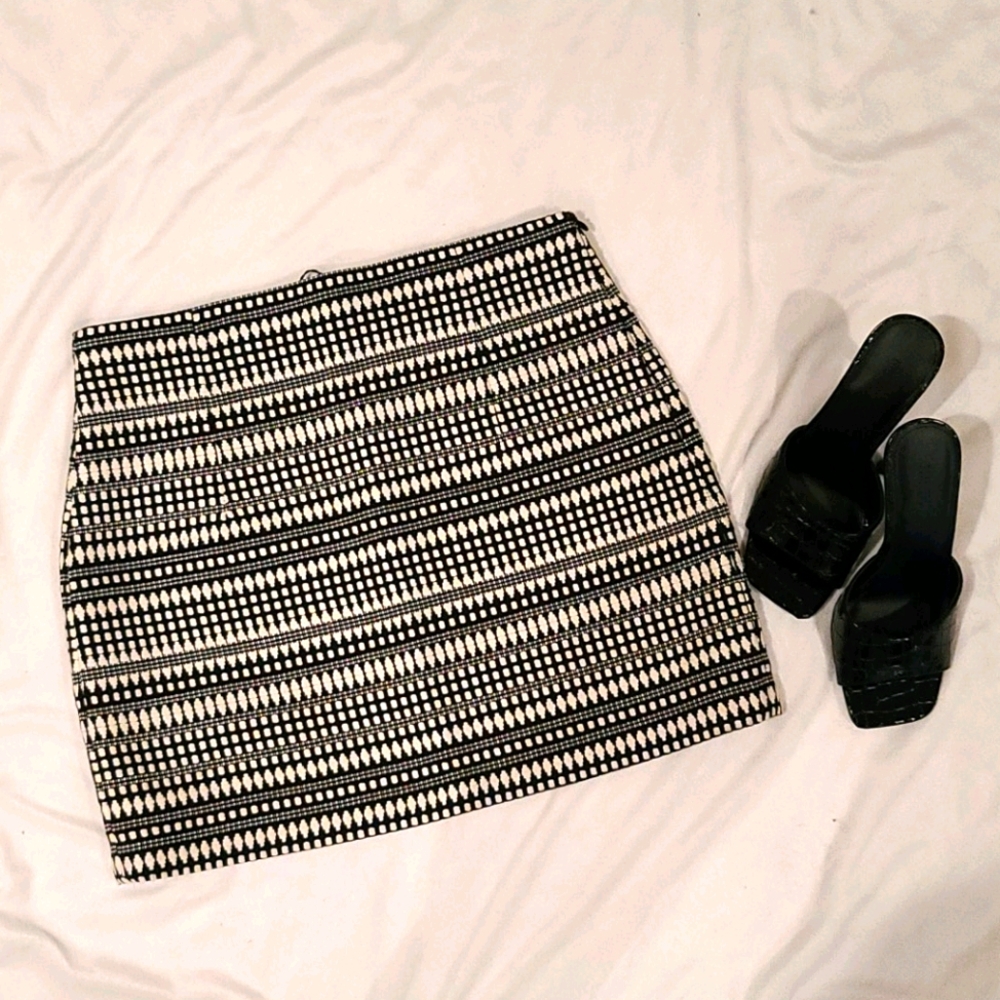 NWT ZARA Skirt Sz Medium